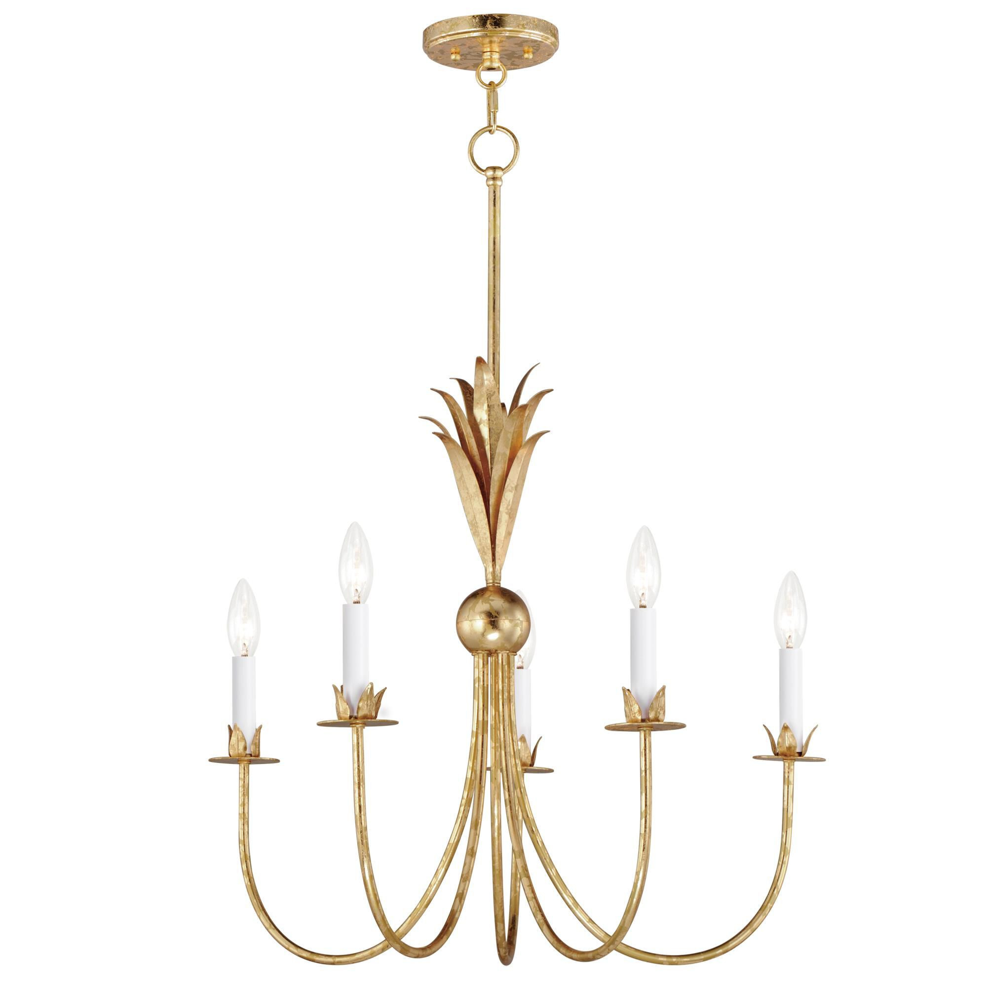 Paloma 26 Inch 5 Light Chandelier by Maxim Lighting | 1800 Lighting