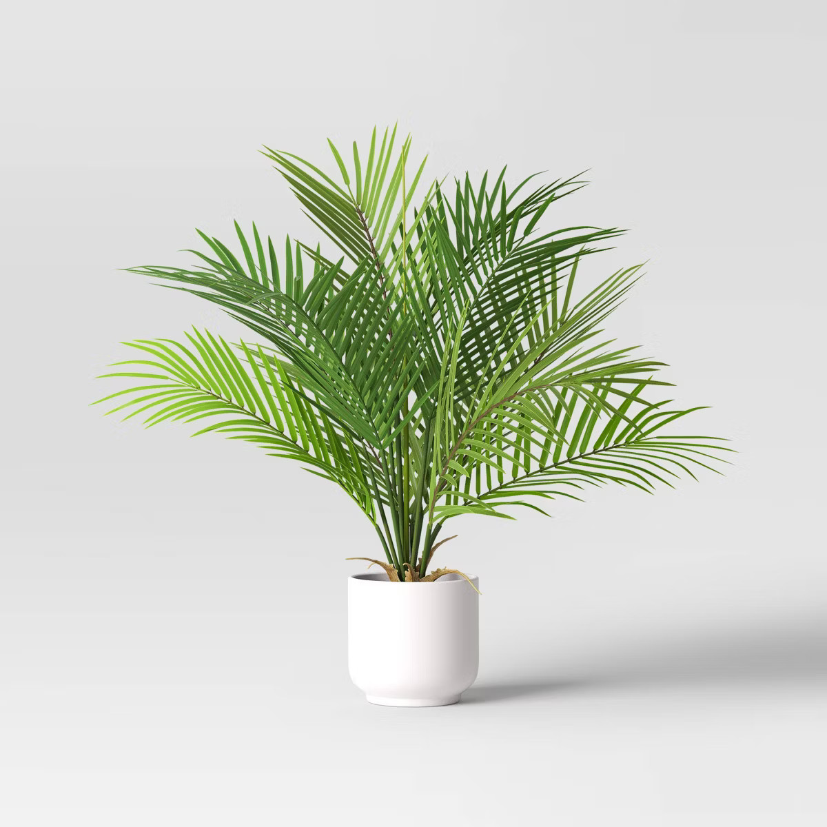 Palm Artificial Potted Plant - Room Essentials™ | Target