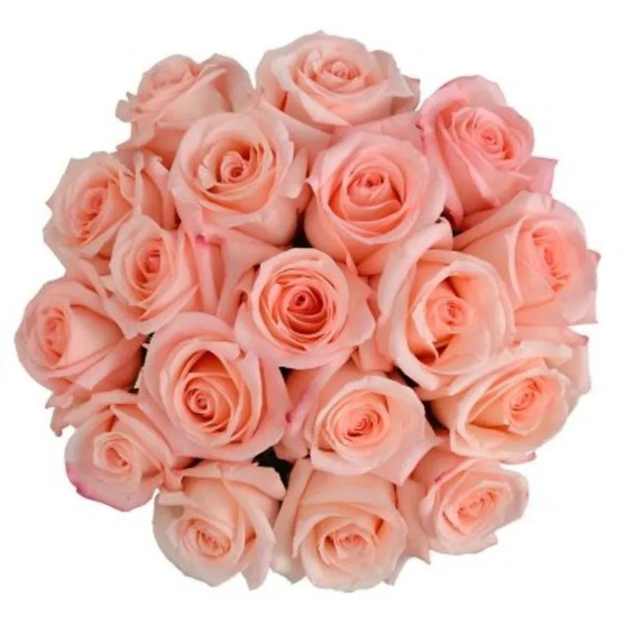 PREMIUM ROSE BOUQUET Premium Euro Cut Rose Bouquet | Instacart