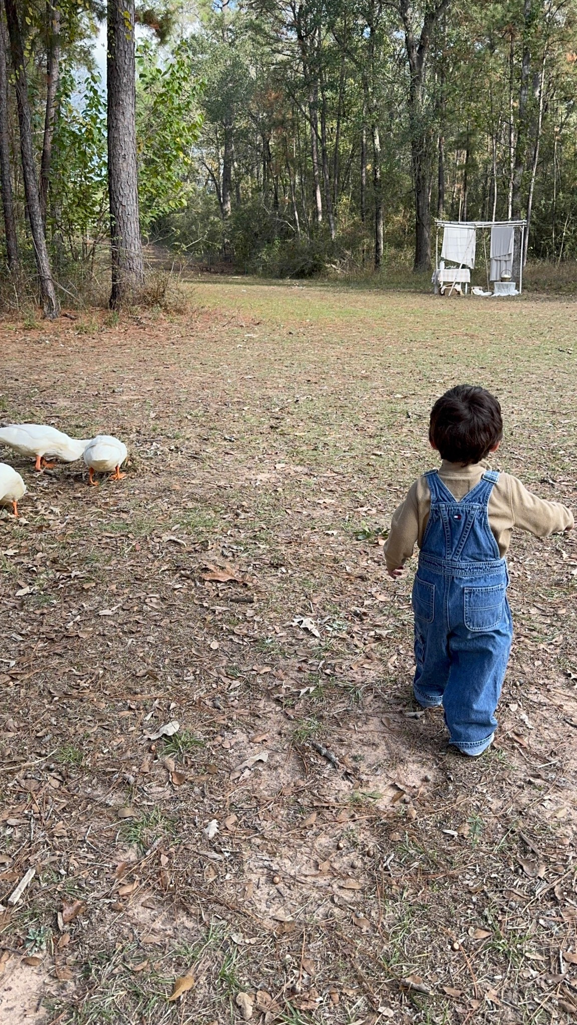 Took our family Christmas photos today at the cutest farm ❤️ 

#kidsoveralls #farm 

#LTKHoliday #LTKdayinmylife #LTKootd