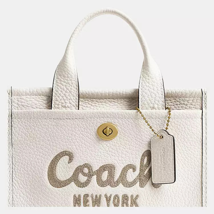 $295 | Coach (US)