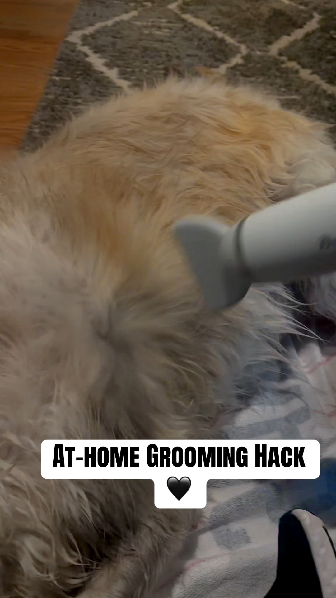 If you’ve got a fluffy dog, this is a NON-negotiable 🐾

Three speeds. Multiple heat settings. Quiet enough my dog doesn’t freak out 😮‍💨

Cuts drying time + shedding in half.

I linked the exact one I use, you’re welcome 😉 

 #Ad  #amazonfind  #dog #doggrooming

#LTKdayinmylife #LTKSaleAlert