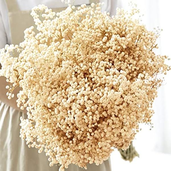 beerfingo Dried-Flowers-Babys-Breath-Bouquet-17.2 inch 2500+ Ivory White Flowers, Natural Gypsophila Branches for Home Decor, Wedding, Table Decor, DIY Wreath Floral, Dry Flowers Bulk for Vase | Amazon (US)