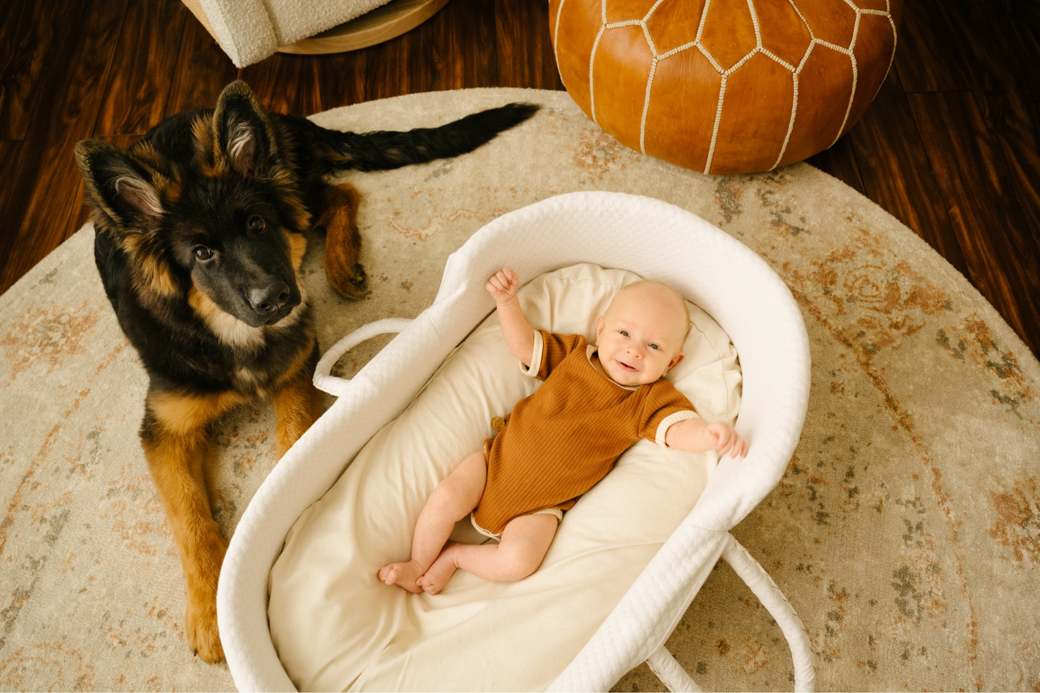 Just a smiley boy and his adorable puppy! 🐶 😃 Lake’s nursery is based on the color palette (and my love) of German Shepherds and I couldn’t be more happy with how it turned out. #genderneutralnursery #babynursery #nurserydecor #beigebaby #babyboystyle #babyletto 

#LTKBaby