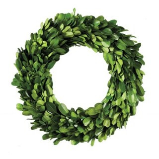 Preserved Mini Boxwood Wreath | Ballard Designs, Inc.