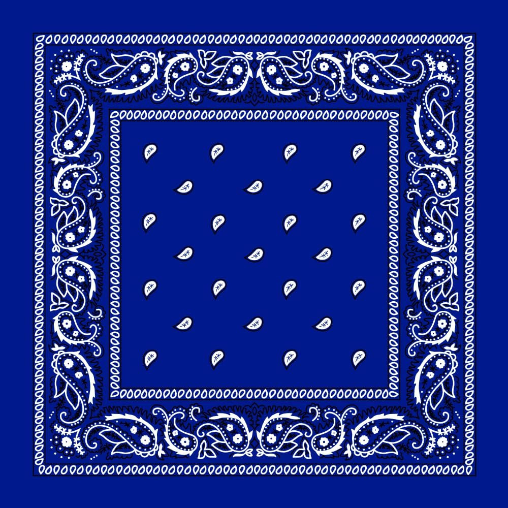 Large 100% Cotton Paisley Bandanas (22 inch x 22 inch) | Amazon (US)