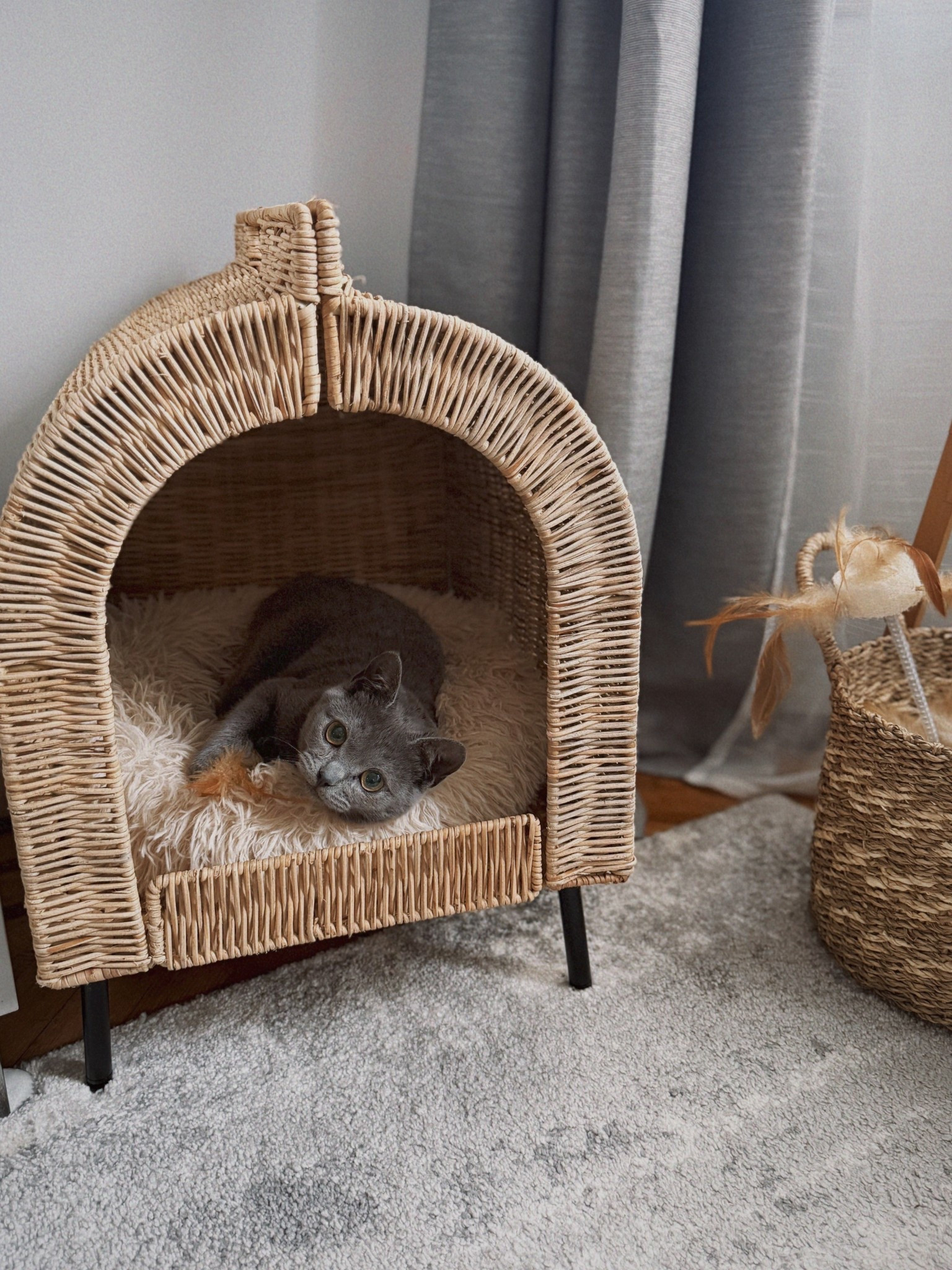 Favorite cat items! 

Her bed is from ikea (UTSADD)

#LTKPets #LTKFamily #LTKHome