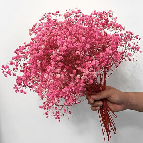 4000+ Pink-Dried-Babys-Breath-Flowers-Bouquet, 17.2In Pink Flower, Natural Gypsophila Branches for Wedding, Valentine's Day, Dry Flowers Bulk for Vase, Home Party Decor, DIY Wreath Floral | Amazon (US)