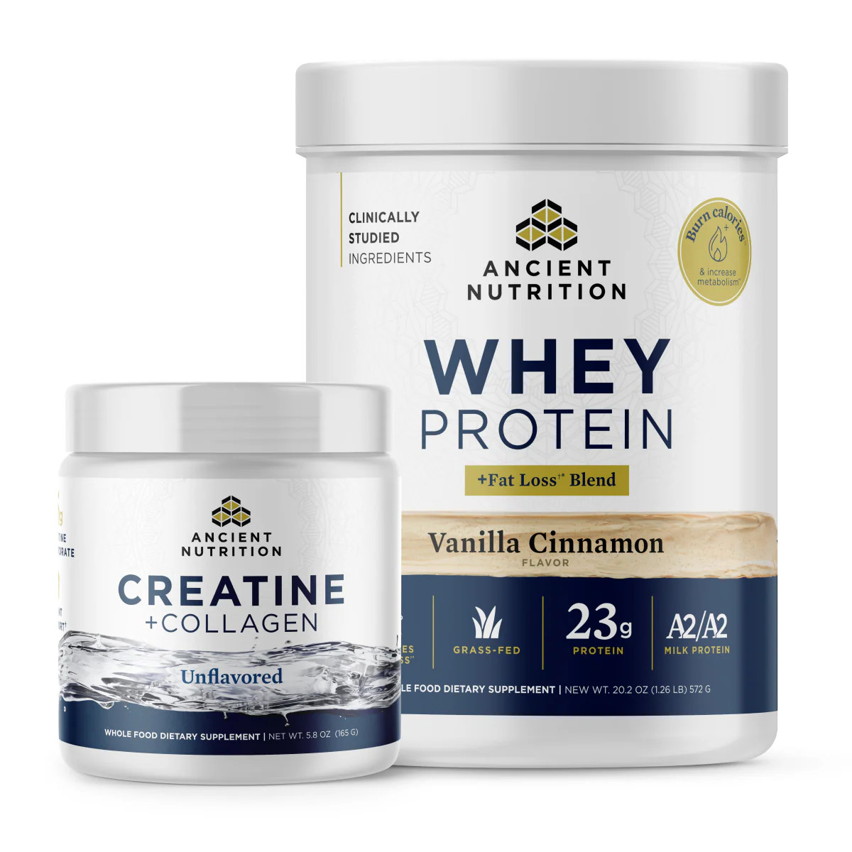 Creatine + Protein Bundle, Whey Protein + Fat Loss†* Blend + Creatine Unflavored | Ancient Nutrition