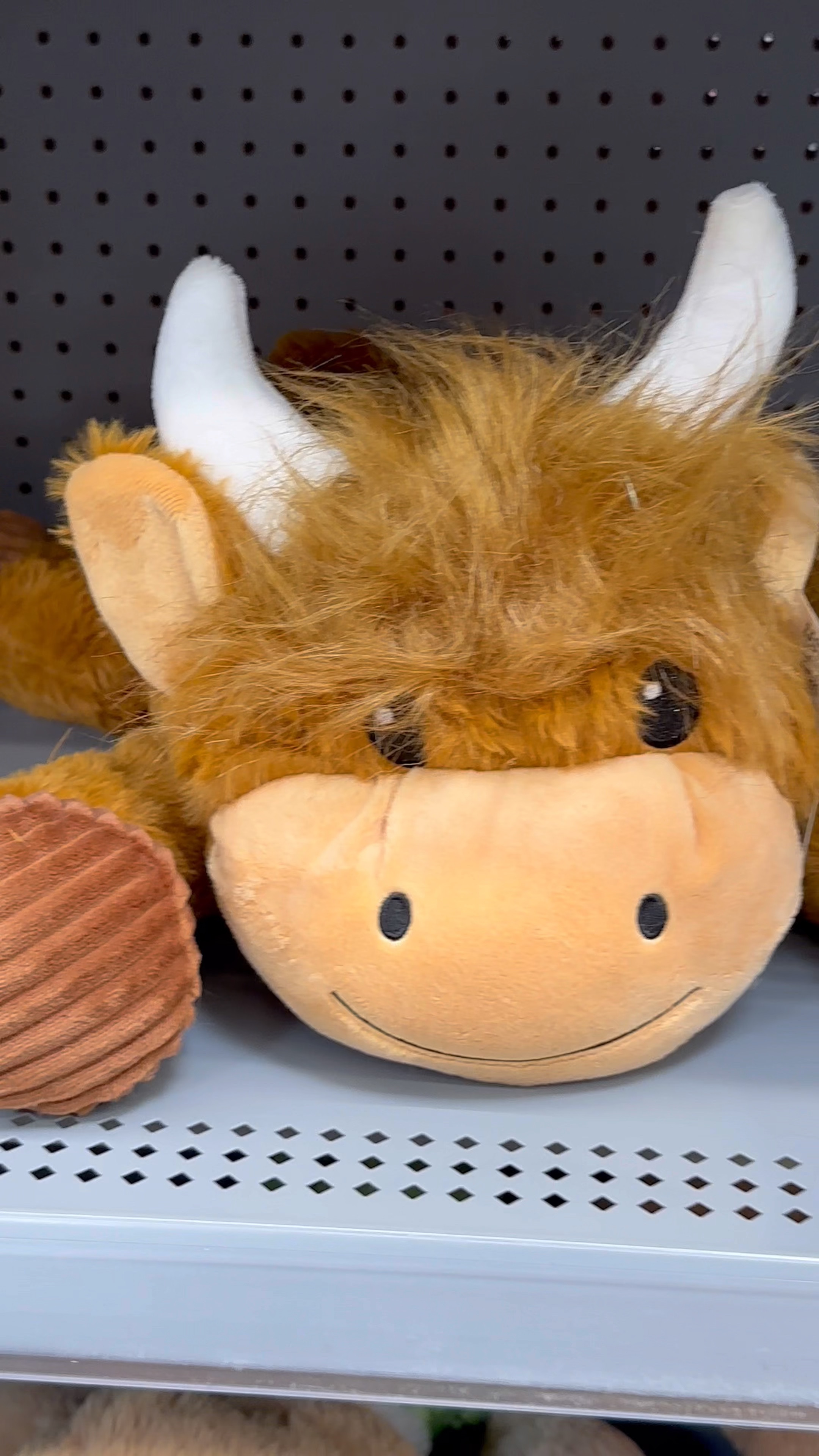 More cute plushies! The rooster is so cute! #walmart #walmartfinds #easter #easterbasket #easterbunny #highlandcow

#LTKSeasonal #LTKMostLoved