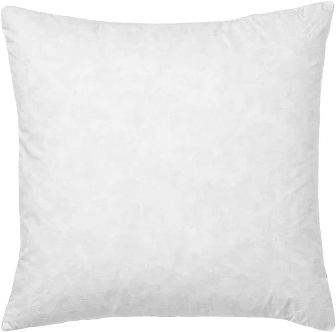 Amazon.com: basic home Euro Pillow Inserts 30x30-Feather and Down Fill - Cotton Fabric : Home & K... | Amazon (US)