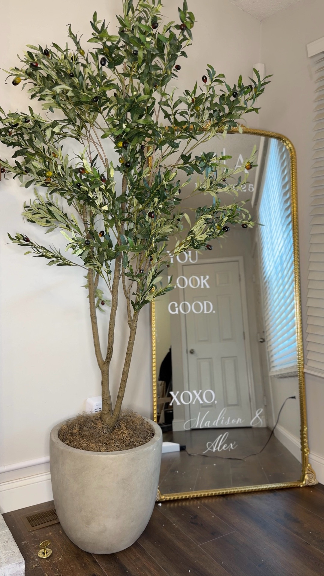 Ever since taking my Christmas tree down l have been dying to get a faux olive tree to put in this corner!! After lots of research I found the perfect one!! It helps make my living room feel so much more homey!!

#LTKBeauty #LTKHome #LTKSeasonal
