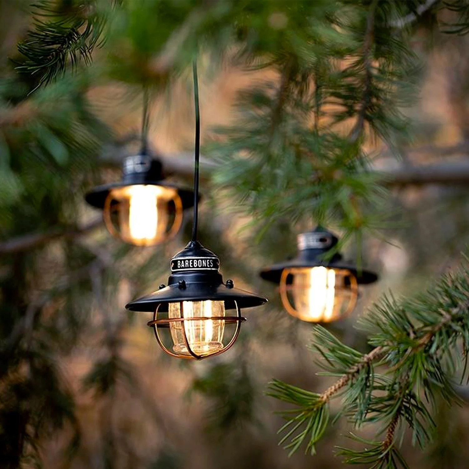 Edison Pendant String Lights | Barebones
