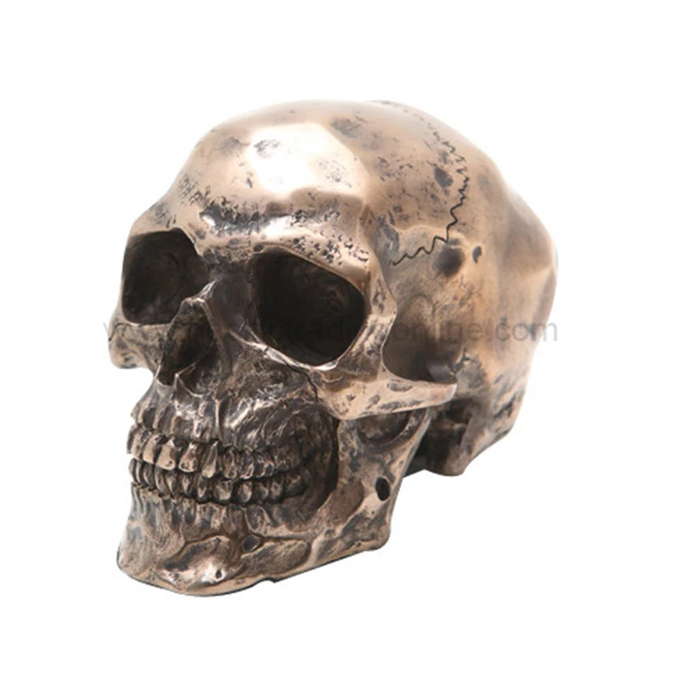 The Holiday Aisle® Bridgeport Skeleton Skull Figurine | Wayfair | Wayfair North America