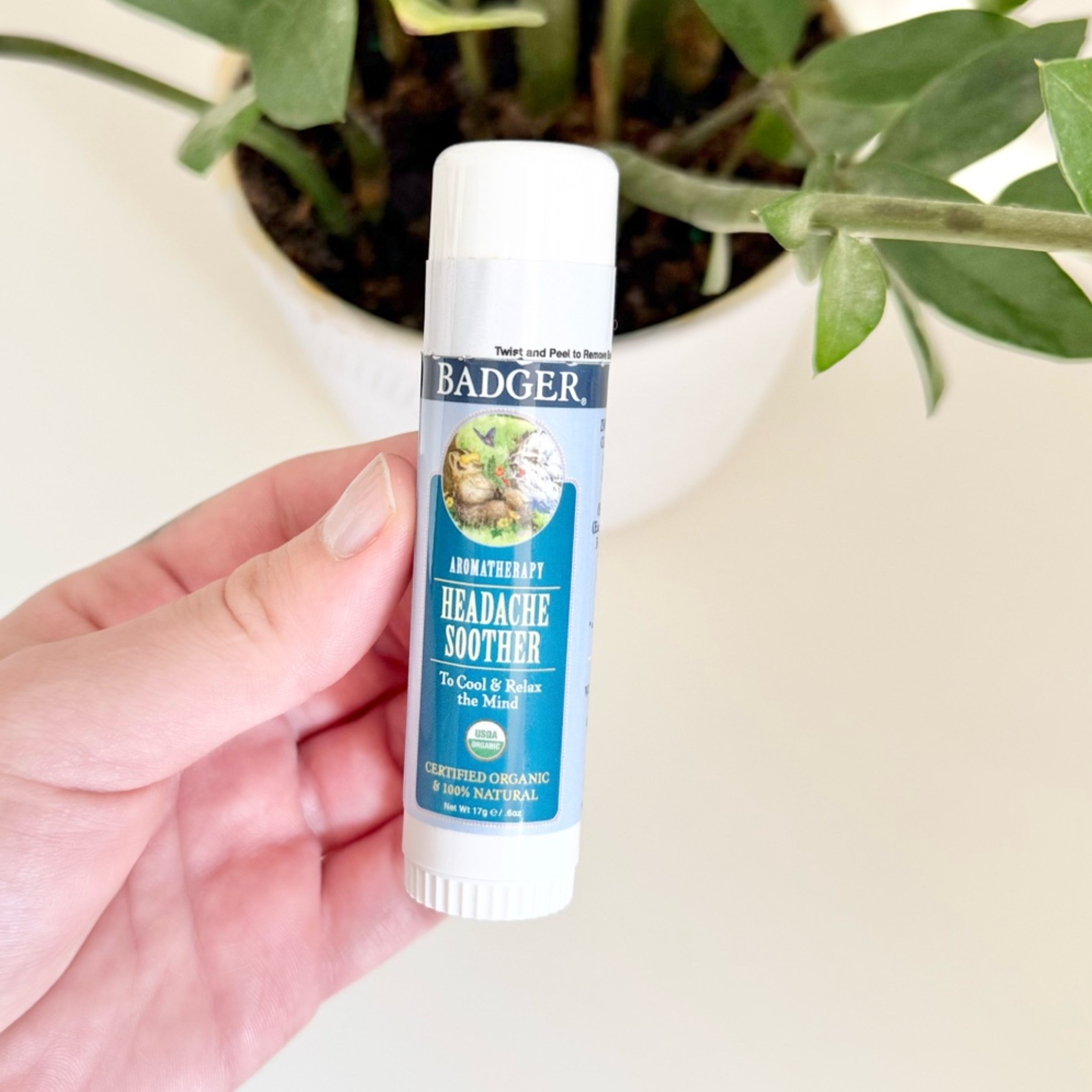 Badger balm
Headache soother
Regularly $9.99
Sale $8.99

#LTKSaleAlert