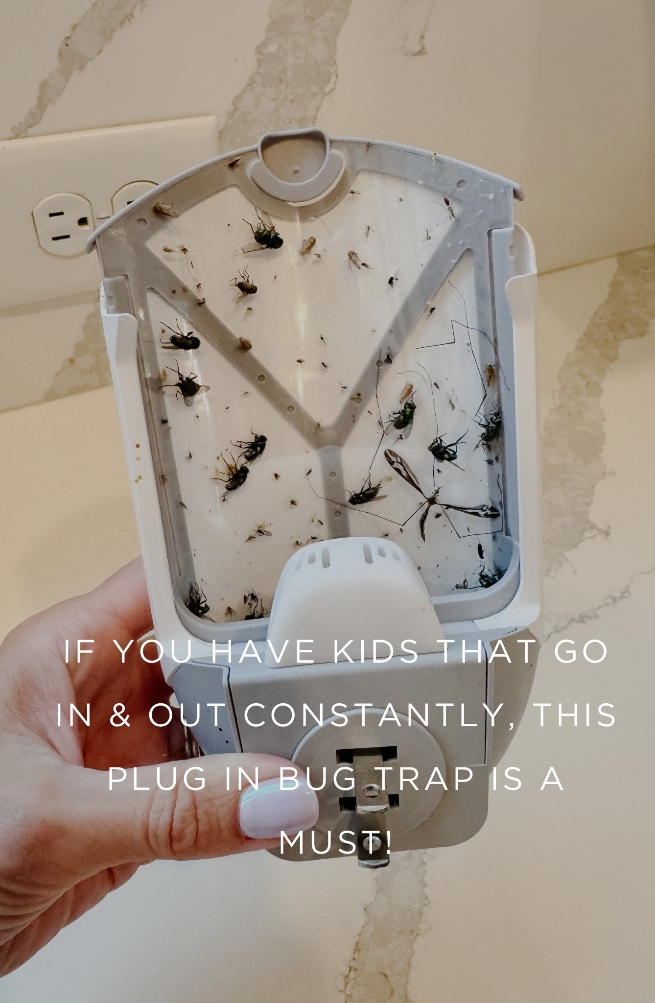 Don't judge me but if you have kids that are constantly running in and out, this insect trap is a must!

#LTKHome #LTKKids #LTKSummerEdit