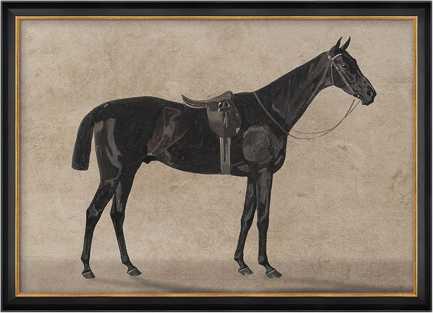 MUDECOR Premium Framed Wall Art Vintage Black Horse Classic Framed Equestrian Illustrations Impre... | Amazon (US)