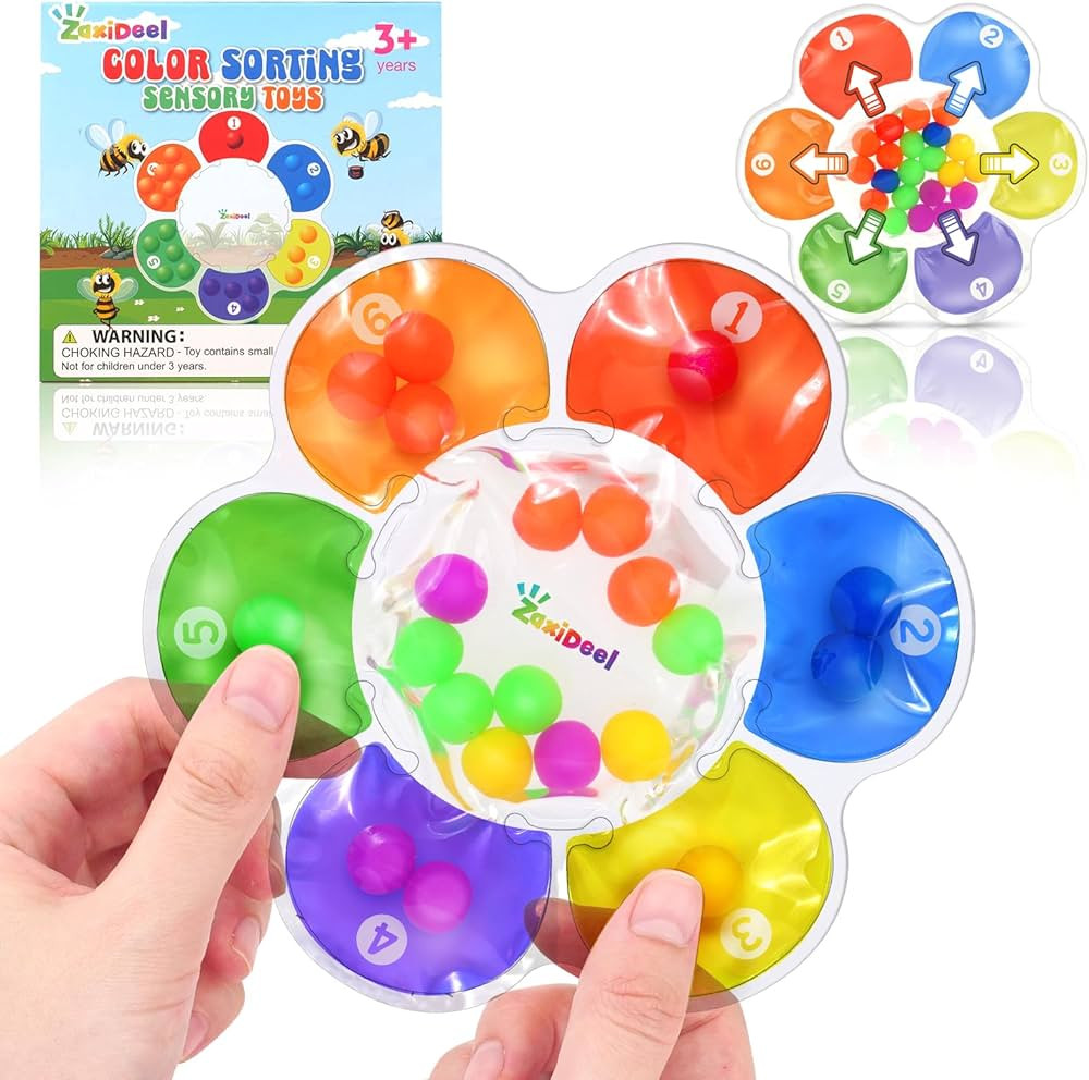 Sensory Toys Color Sorting Toys: Quiet Fidgets for Classroom Montessori Toy for Toddlers, Fine Mo... | Amazon (US)