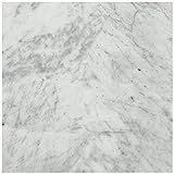Dal-Tile M70112121L Carrara White Polished Marble Tile x 11 1/2 | Amazon (US)