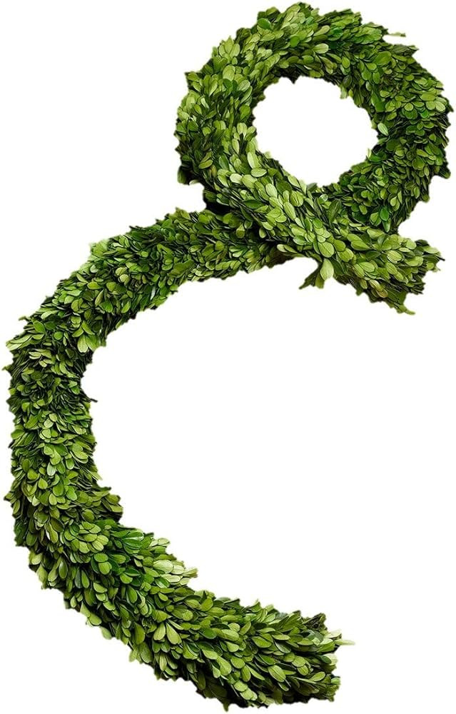 Serene Spaces Living Preserved Boxwood Garland, Genuine Green Leaves & Simple Care, Use for Chris... | Amazon (US)