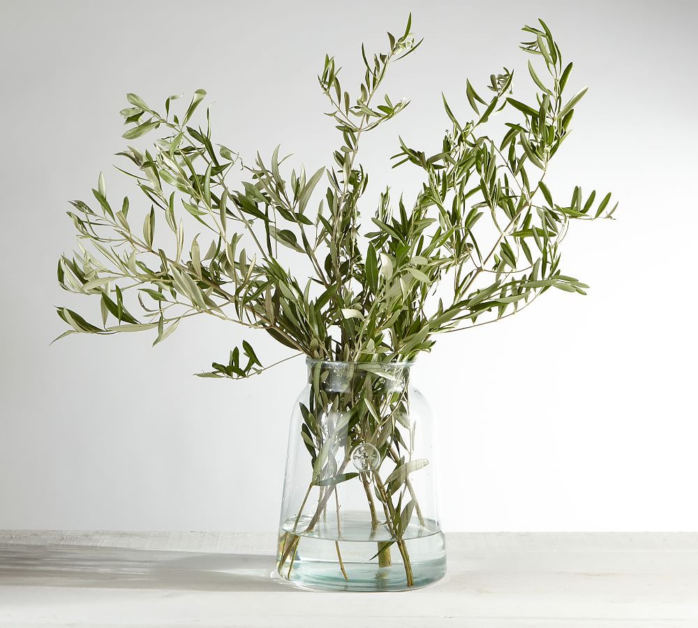 Live Olive Leaves Bunches | Pottery Barn (US)