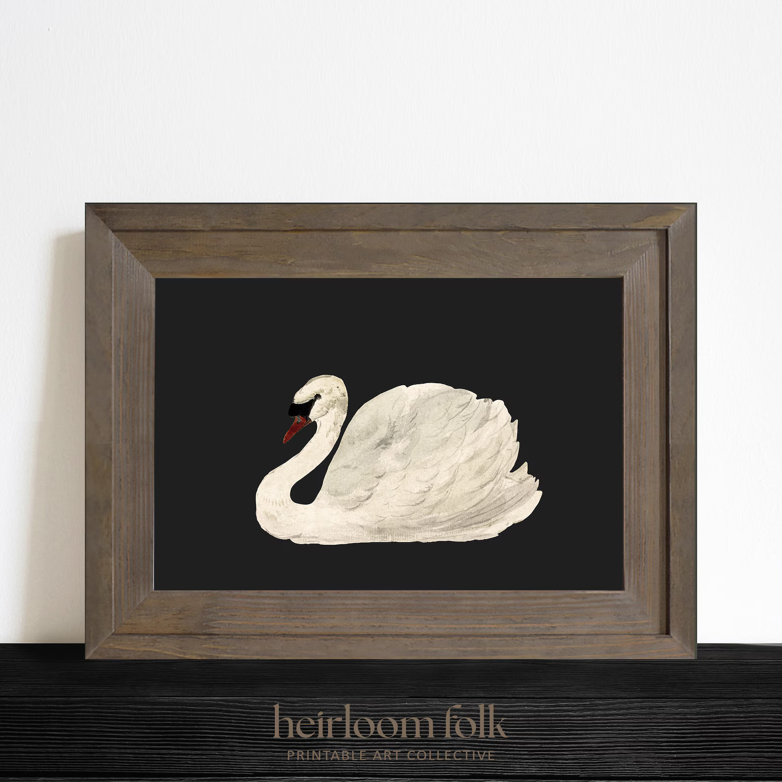 White Swan Black Background Vintage Painting Wall Decor | Heritage Art | PRINTABLE DIGITAL DOWNLO... | Etsy (US)