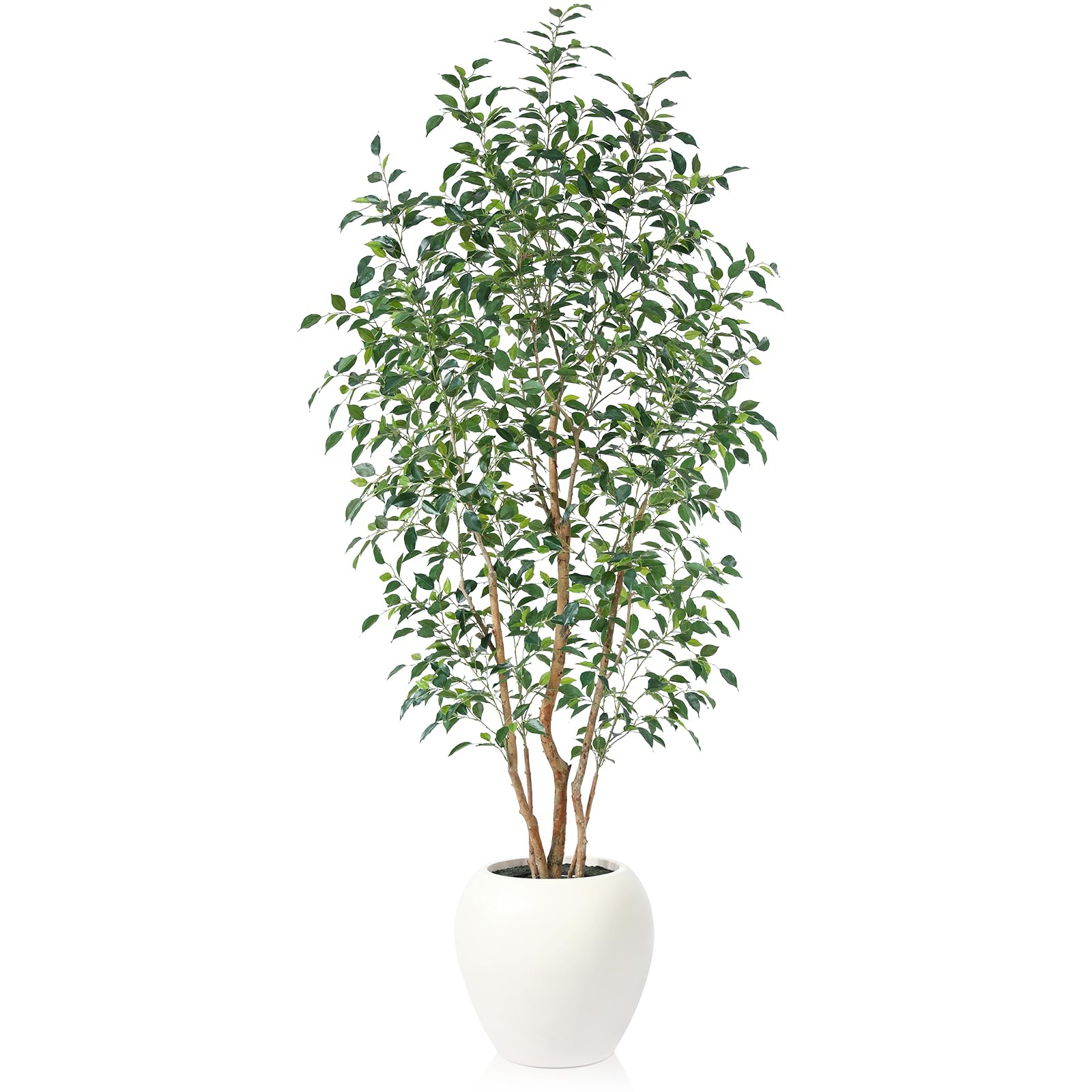 VeriNatural 8FT Artificial Ficus Tree, Indoor Faux Ficus Plant with Realistic Leaves & Natural Wood Trunk, 8ft Tall, Green, All Seasons, Perfect for Living Room Home Decor | Amazon (US)