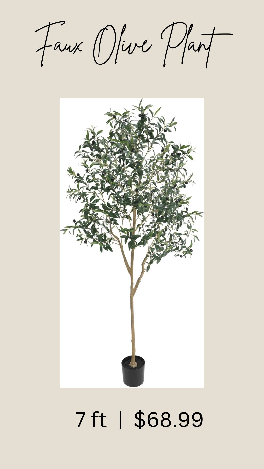 AMAZON \ faux olive plant find🌿🌿 7 ’ Home Decor Spring Entryway Styling  Bedroom Living Room, Outdoor patio faux plant 

 #LTKSeasonal #LTKFindsUnder100