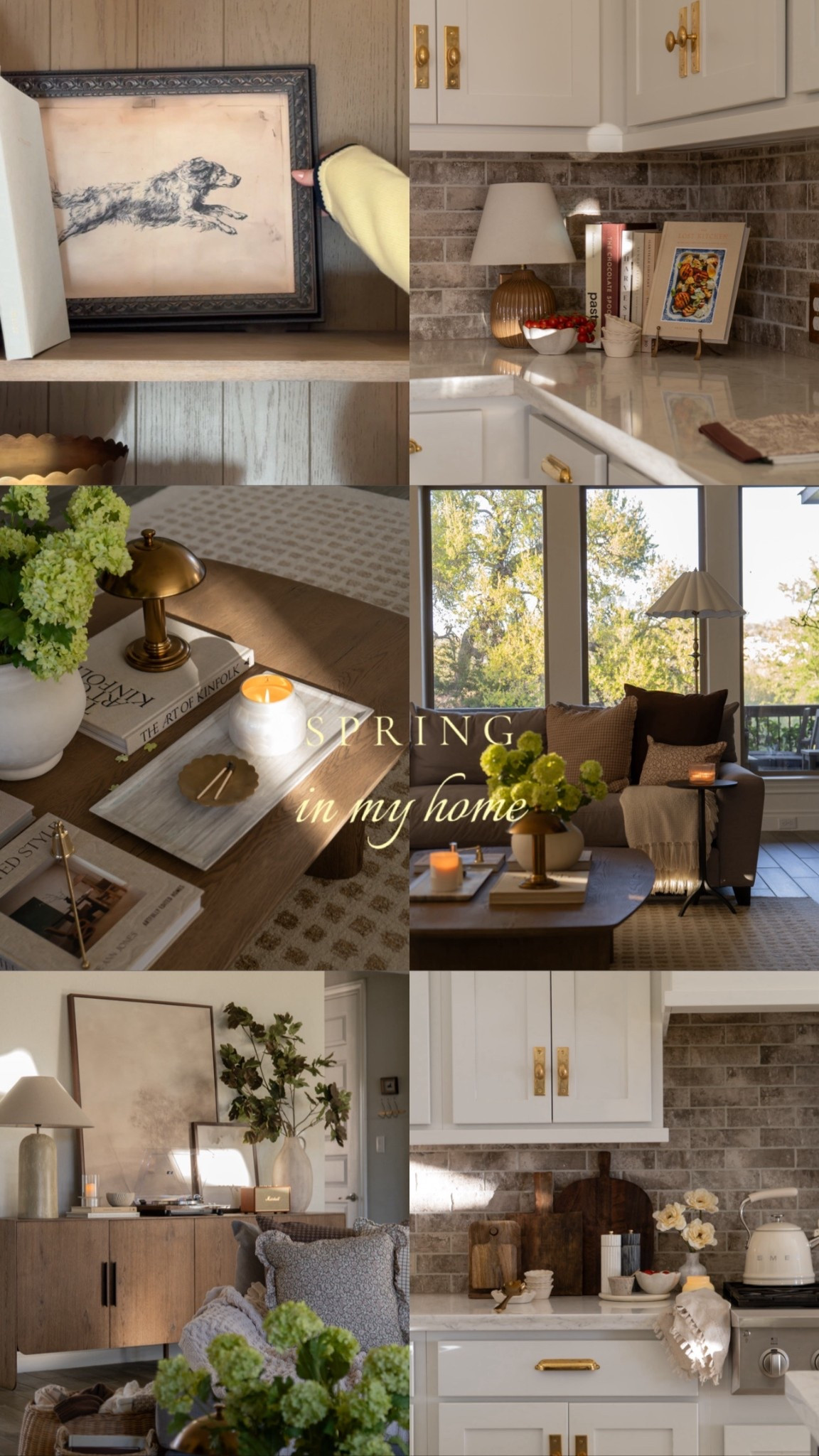 Round up of my 30 spring favorites within my home ✨🤎

#LTKSeasonal #LTKHome #LTKmorningroutine