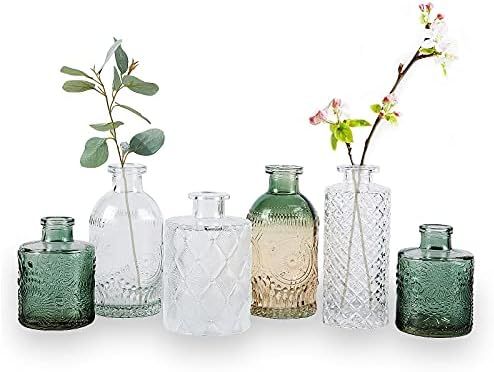 WILDMOS Glass Bud Vase Set of 6, Small Flower Vases for Decorative, Gradient Glass and Embossed S... | Amazon (US)