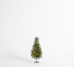 Faux Lit Narrow Pine Tree | Pottery Barn (US)