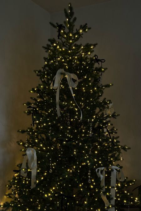 7.5 ft Christmas tree, Home Depot Christmas tree, ribbon bows, Amazon ornaments, holiday decor 

#LTKSeasonal #LTKfindsunder100 #LTKHoliday
