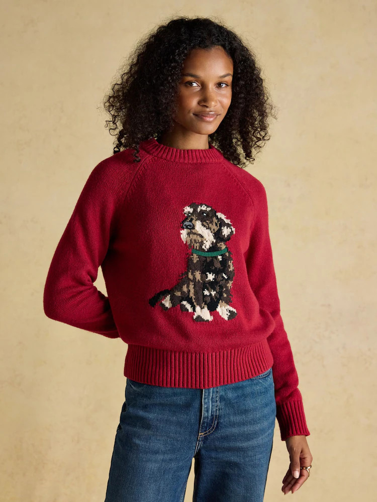 Joules Intarsia Red Dachshund Dog Cotton Blend Regular Fit Jumper | Next US