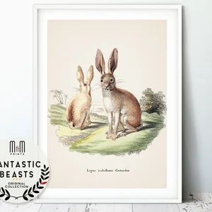 Rabbit print Woodland nursery wall art Kids room decor Printable nursery art Downloadable antique... | Etsy (US)