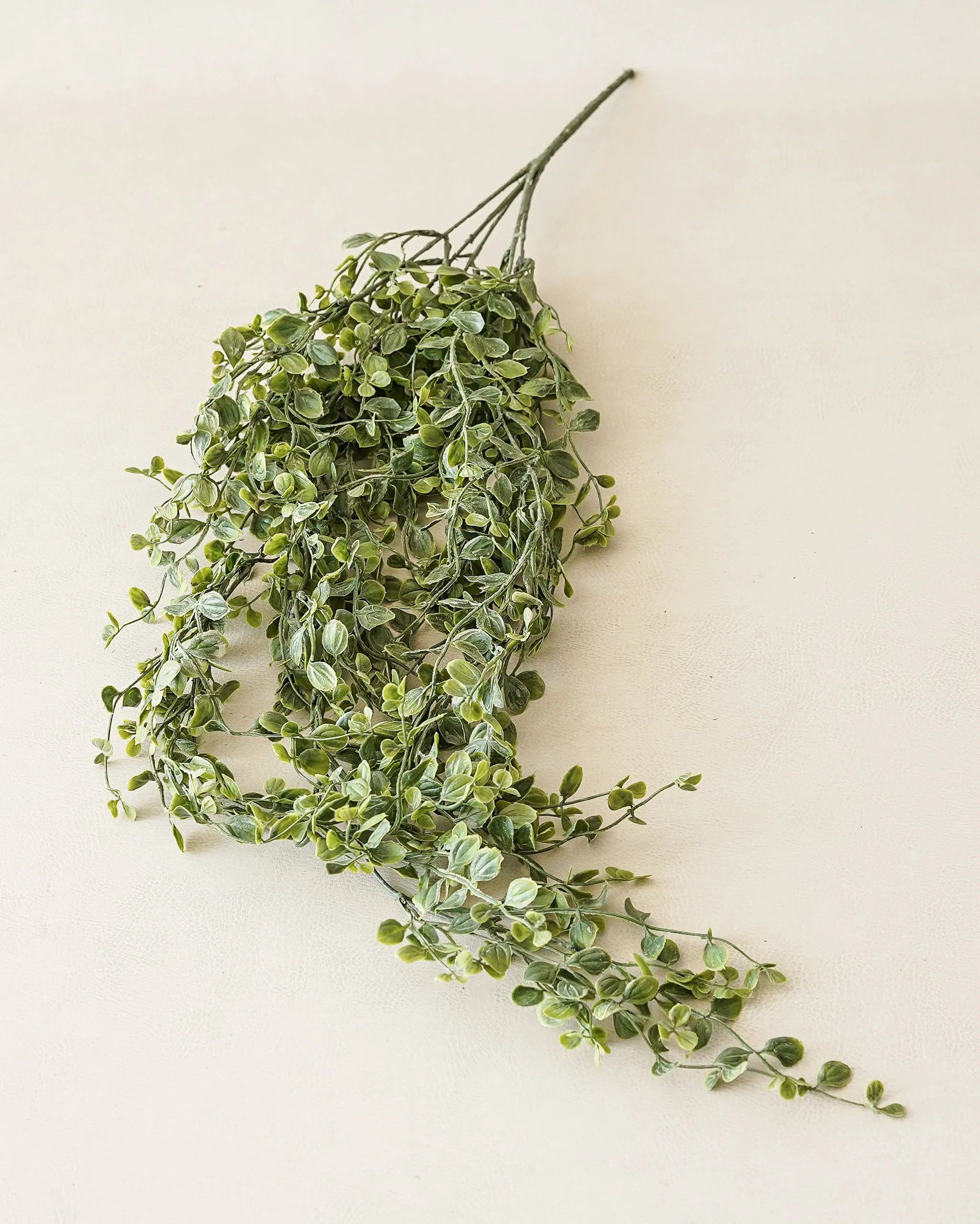 Whisperleaf Hanging Bush | MJHome