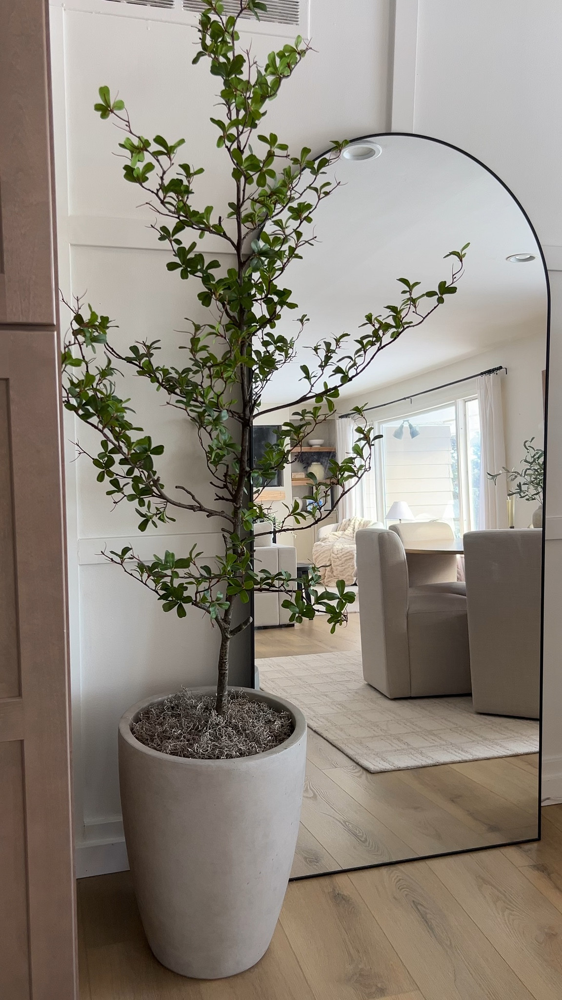 My fav faux tree from Amazon. I elevated it with this gorgeous oversized planter 

#LTKSaleAlert #LTKSeasonal #LTKHome