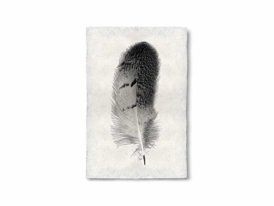 Feather Study Grand Print VII | Arhaus