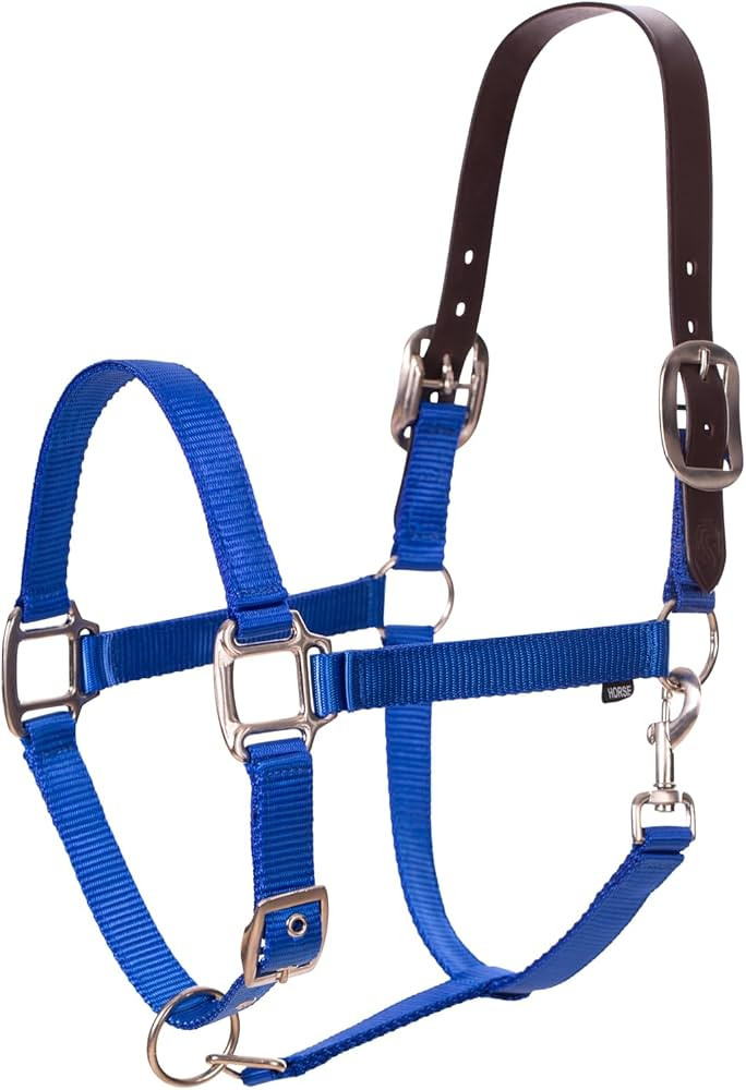 Equinavia Loki Adjustable Breakaway Horse Halter - Royal Blue - Pony | Amazon (US)
