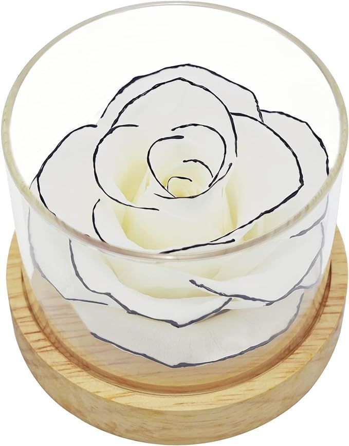 Home Scent Rose Real Fragrance Rose Last 4 Months Gifts for Women/Her Valentines Day Birthday | Amazon (US)