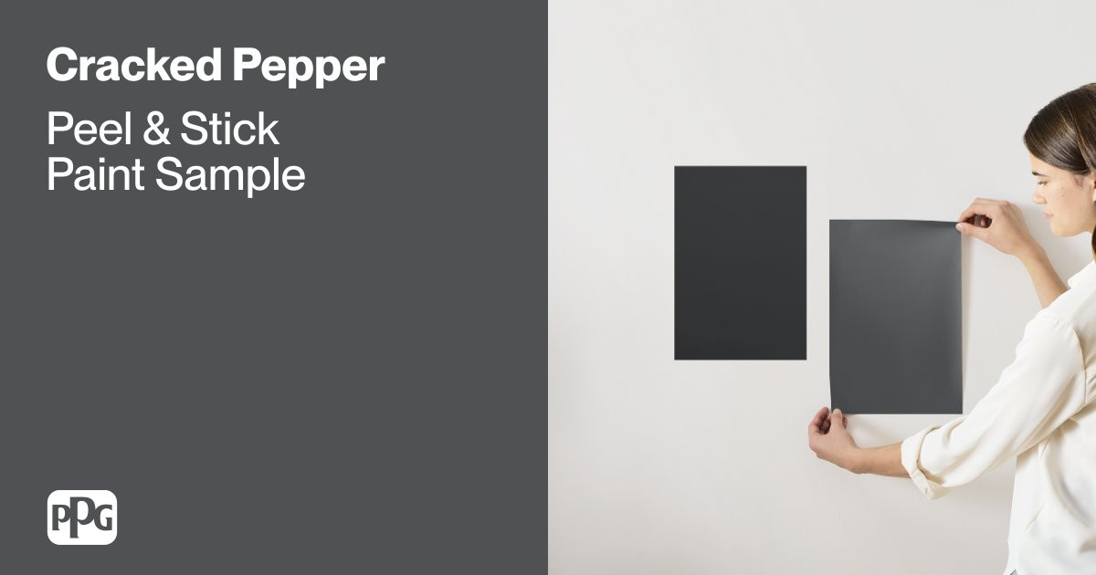 Cracked Pepper  Paint Sample | Samplize