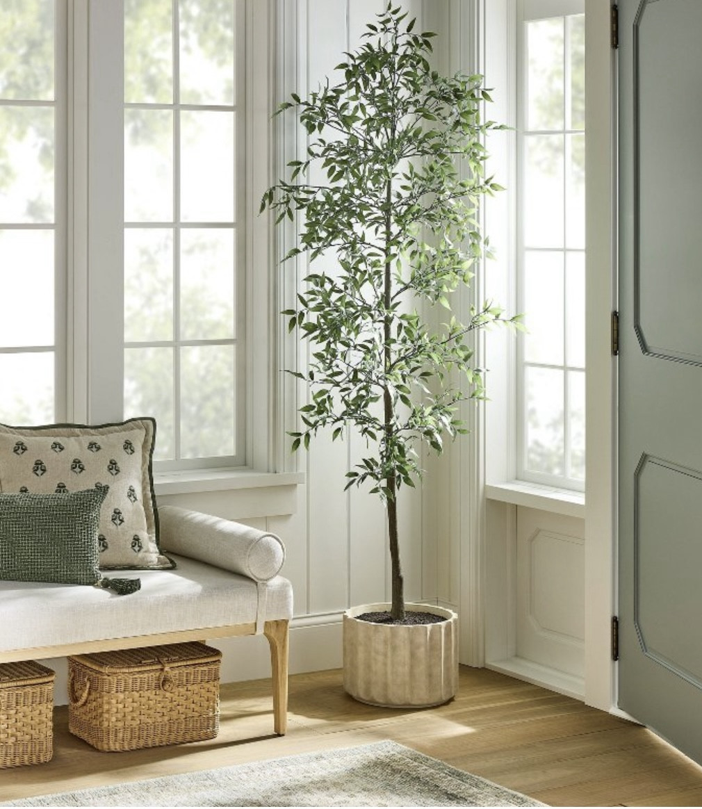 Faux tree by Threshold

This is a best seller! This artificial tree has vibrant green leaves for a realistic look. Brighten any space with this faux tree. 

#targetfinds #threshold

#LTKU #LTKHome #LTKSeasonal