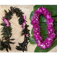 Graduation Lei Pack - Maile Ti Leaf Lei With Orchid Wrap & Double Hawaiian Lei | Etsy (US)
