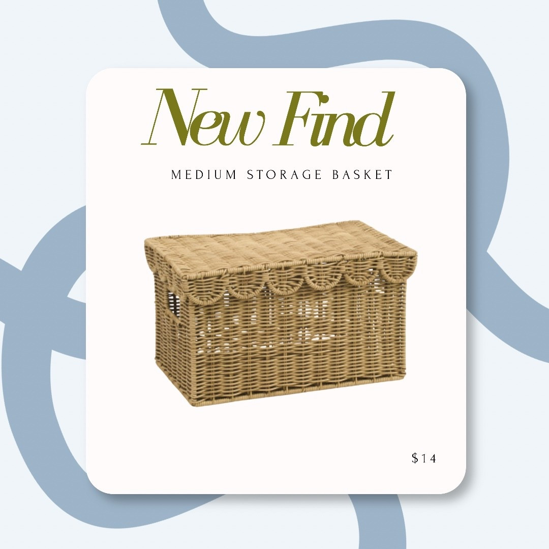 Scallop storage bin for small toys, stuffed animals or even paperwork! 

Storage, organization, storage baskets. Baskets with lid