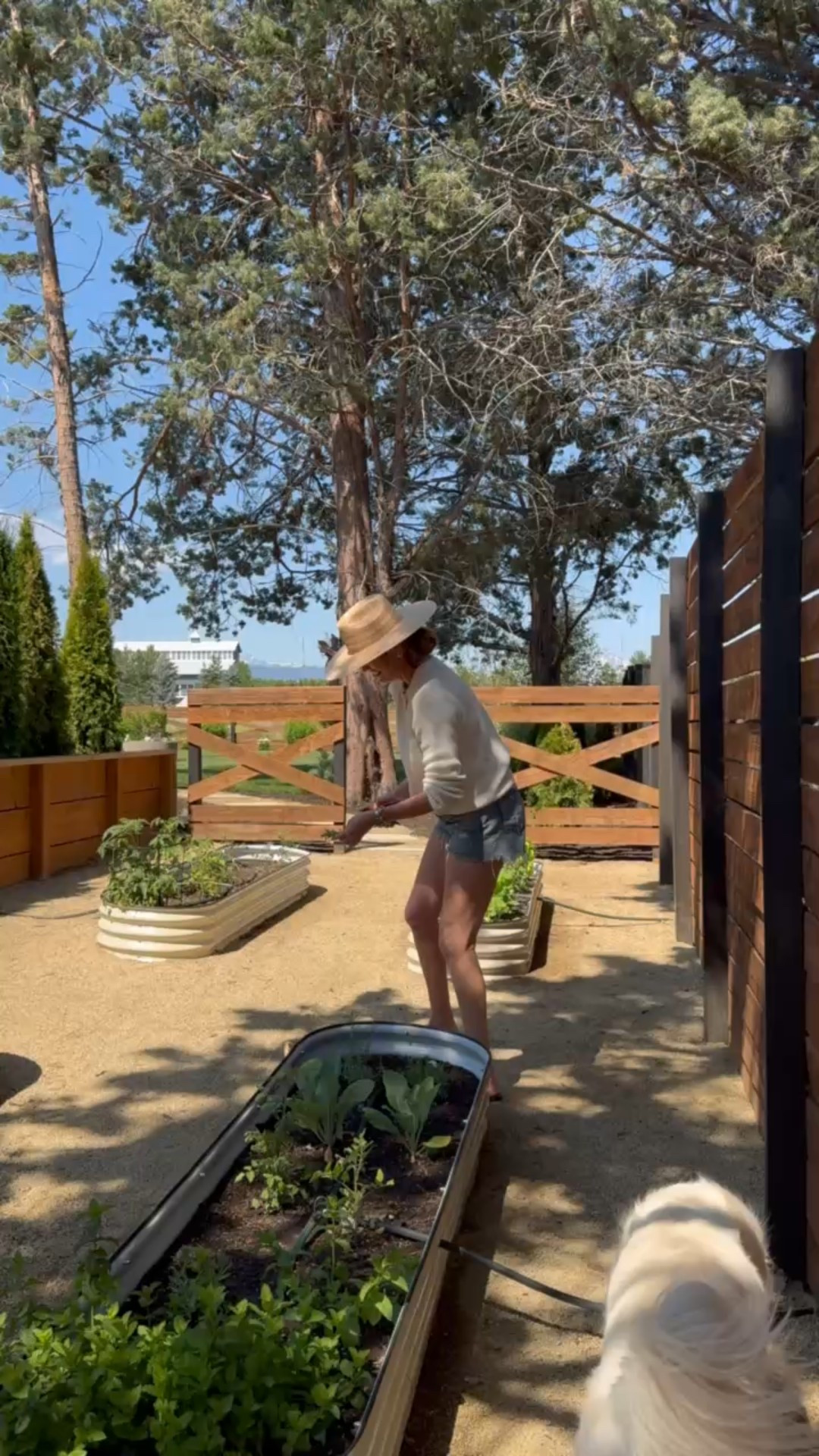 I love a good sun hat for gardening and those secret bad hair days;) Lack of Color, Janessa Leone and Revolve have some of my fave styles!

#LTKTravel #LTKStyleTip #LTKSeasonal