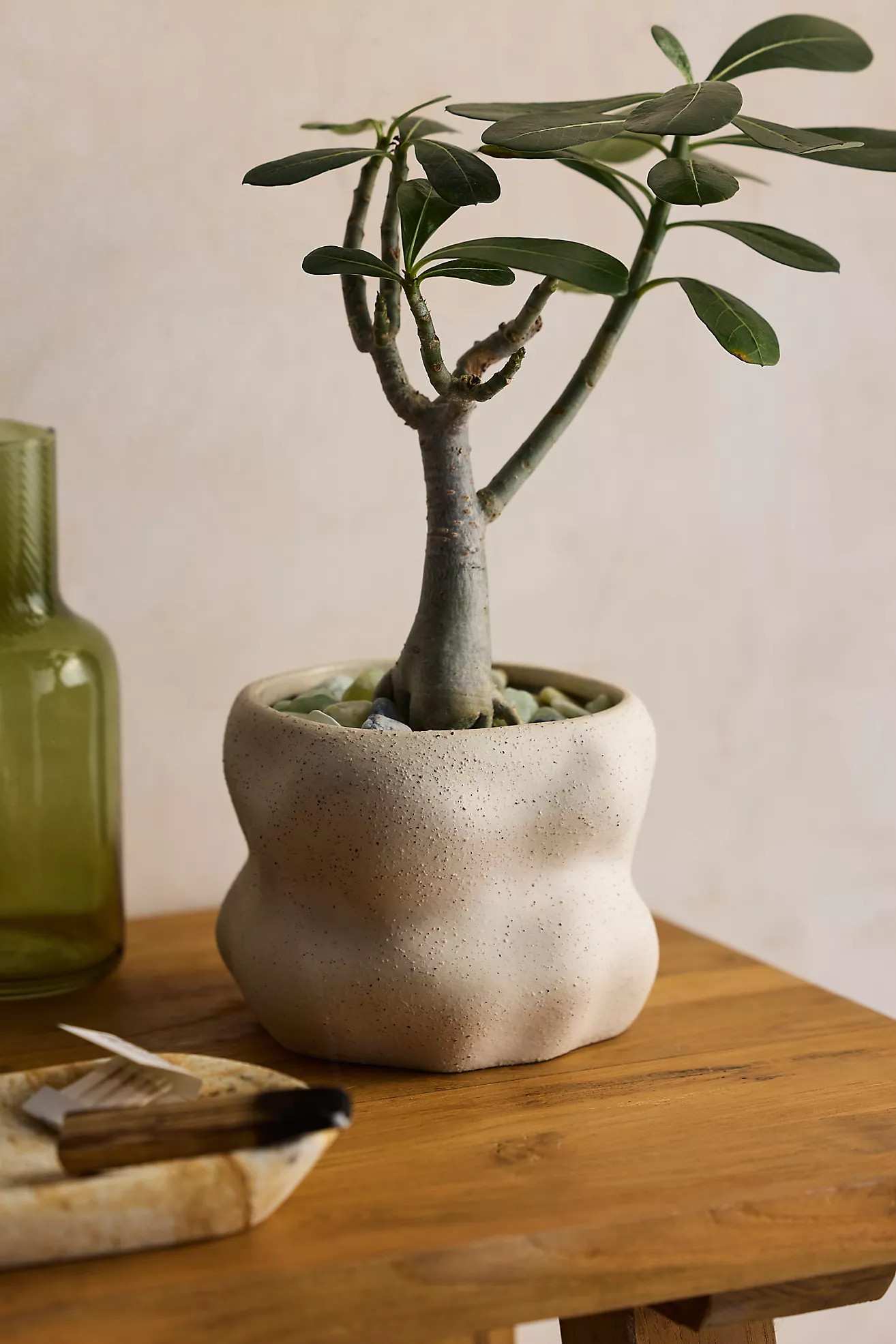 Organic Cylinder Stoneware Planter | Anthropologie (US)