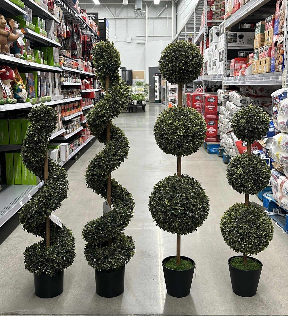 Outdoor topiaries 

#LTKHome #LTKSeasonal #LTKSpringSale