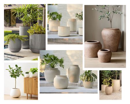 West elm outdoor planters outdoor pots modern planters home decor 

#LTKFind #LTKhome