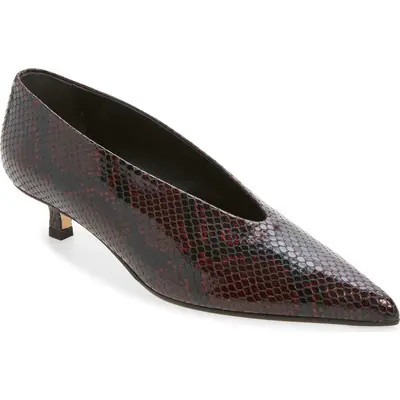 aeyde Clara Pointed Toe Kitten Heel Pump in Port at Nordstrom, Size 40 | Nordstrom