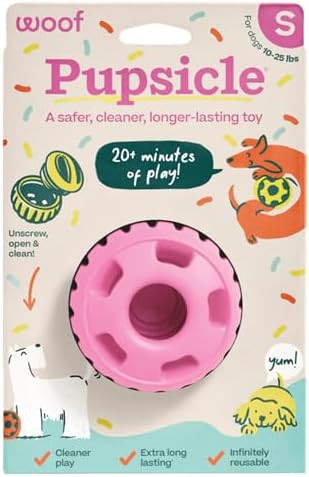 WOOF Party Pupsicle - Long-Lasting Interactive Dog Toys for Boredom - Low-Mess Design - Birthday ... | Amazon (US)