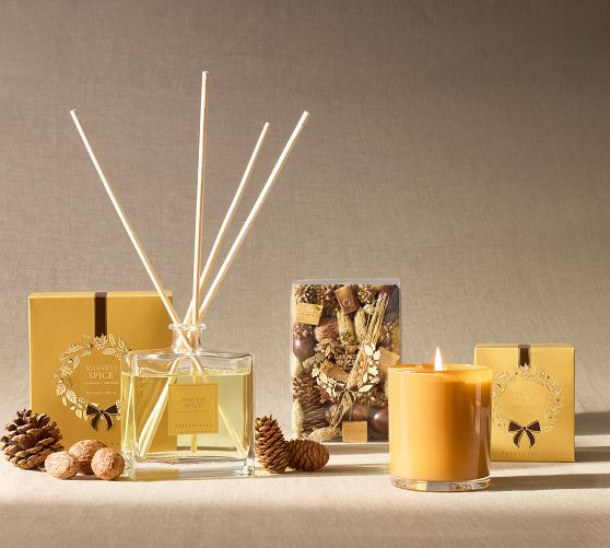 Harvest Spice Scent Collection | Pottery Barn (US)